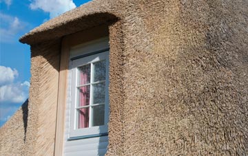 Yew Tree thatch roof disadvantages