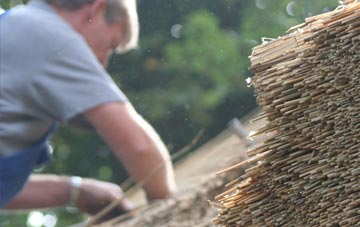 professional Yew Tree thatchers