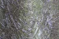 Yew Tree fibreglass roof work